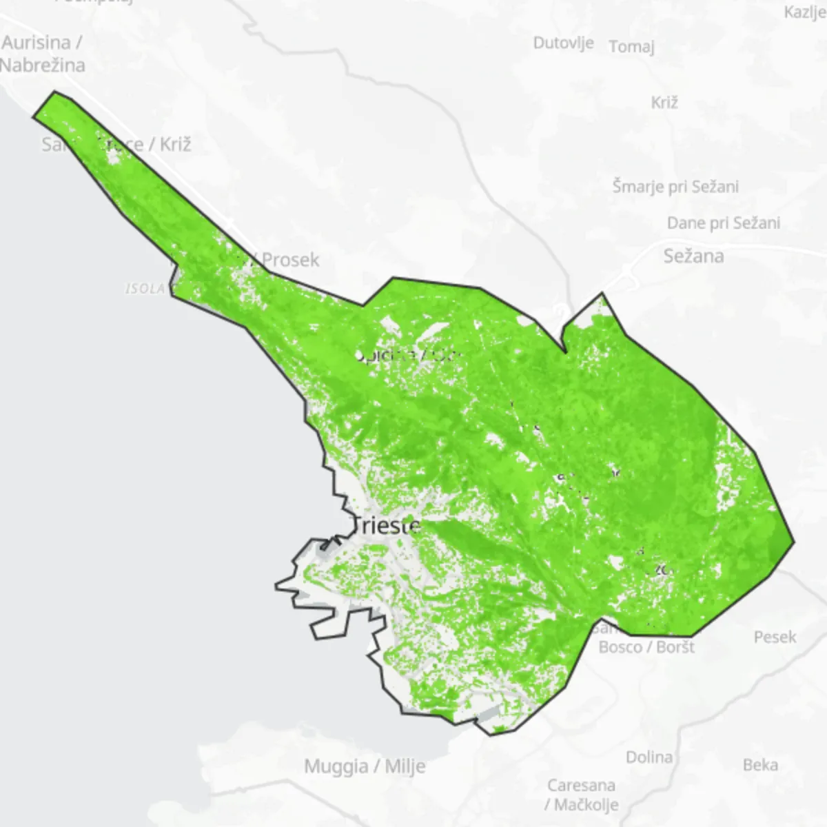 Copertura verde — Trieste