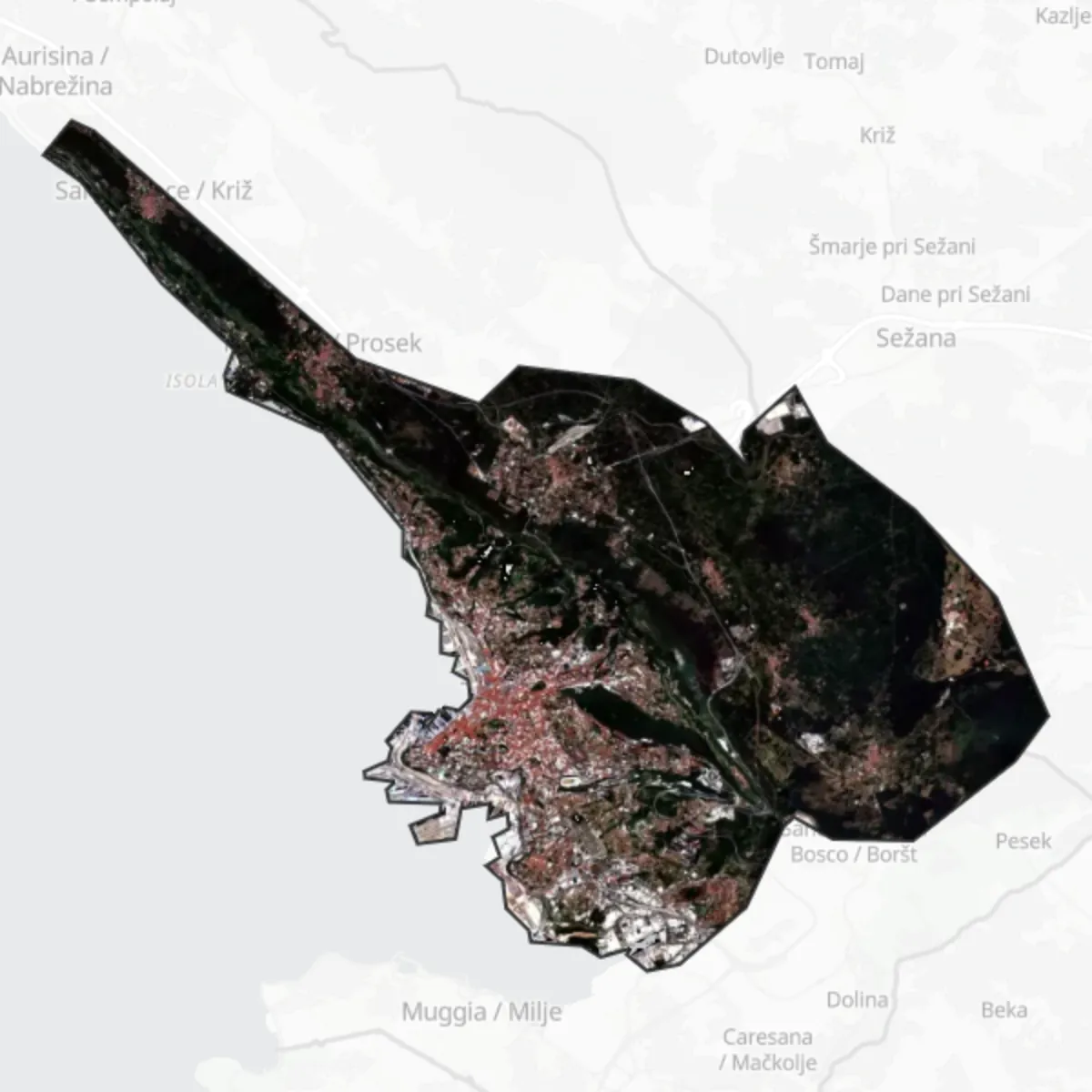Satellite — Trieste