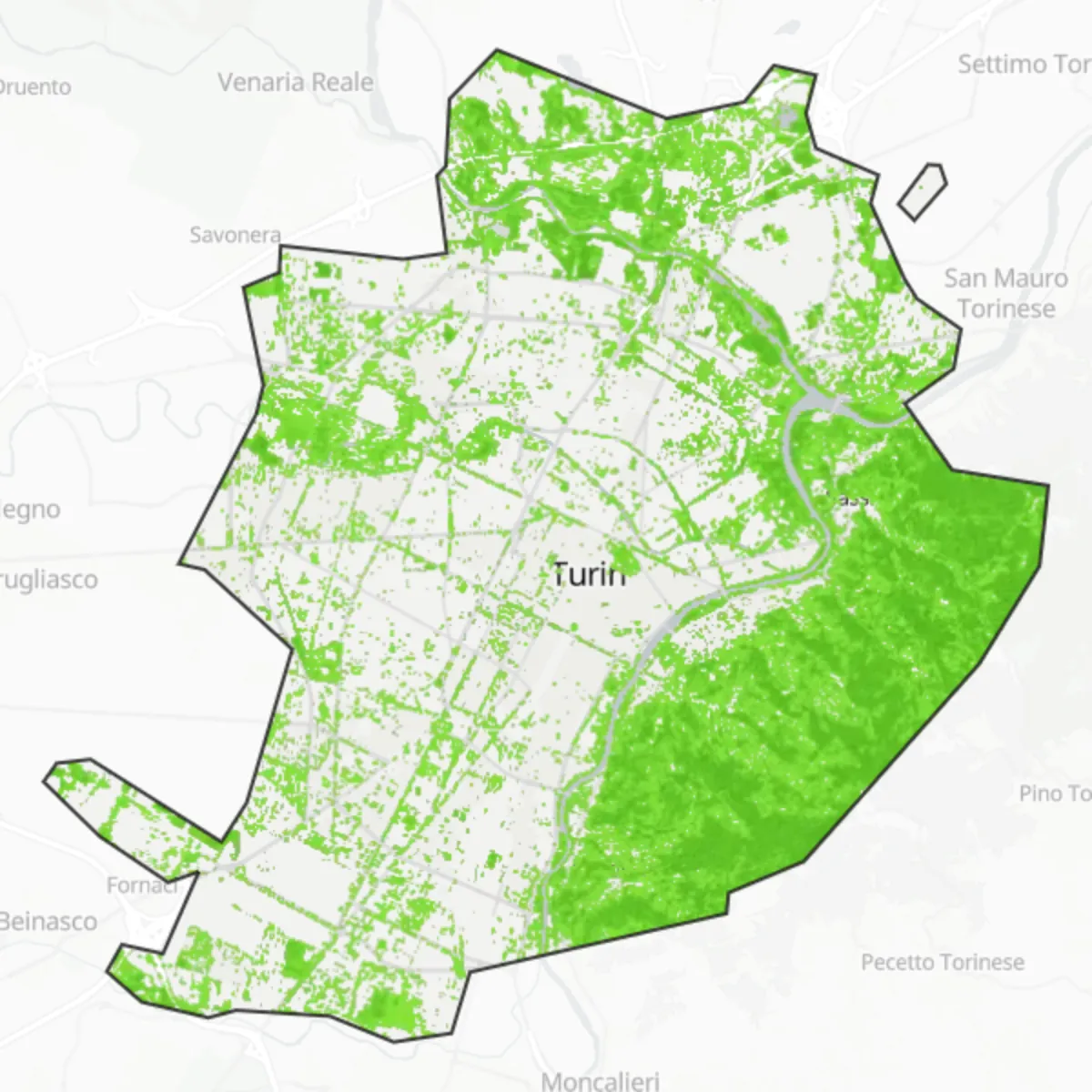 Coberta verda — Turin