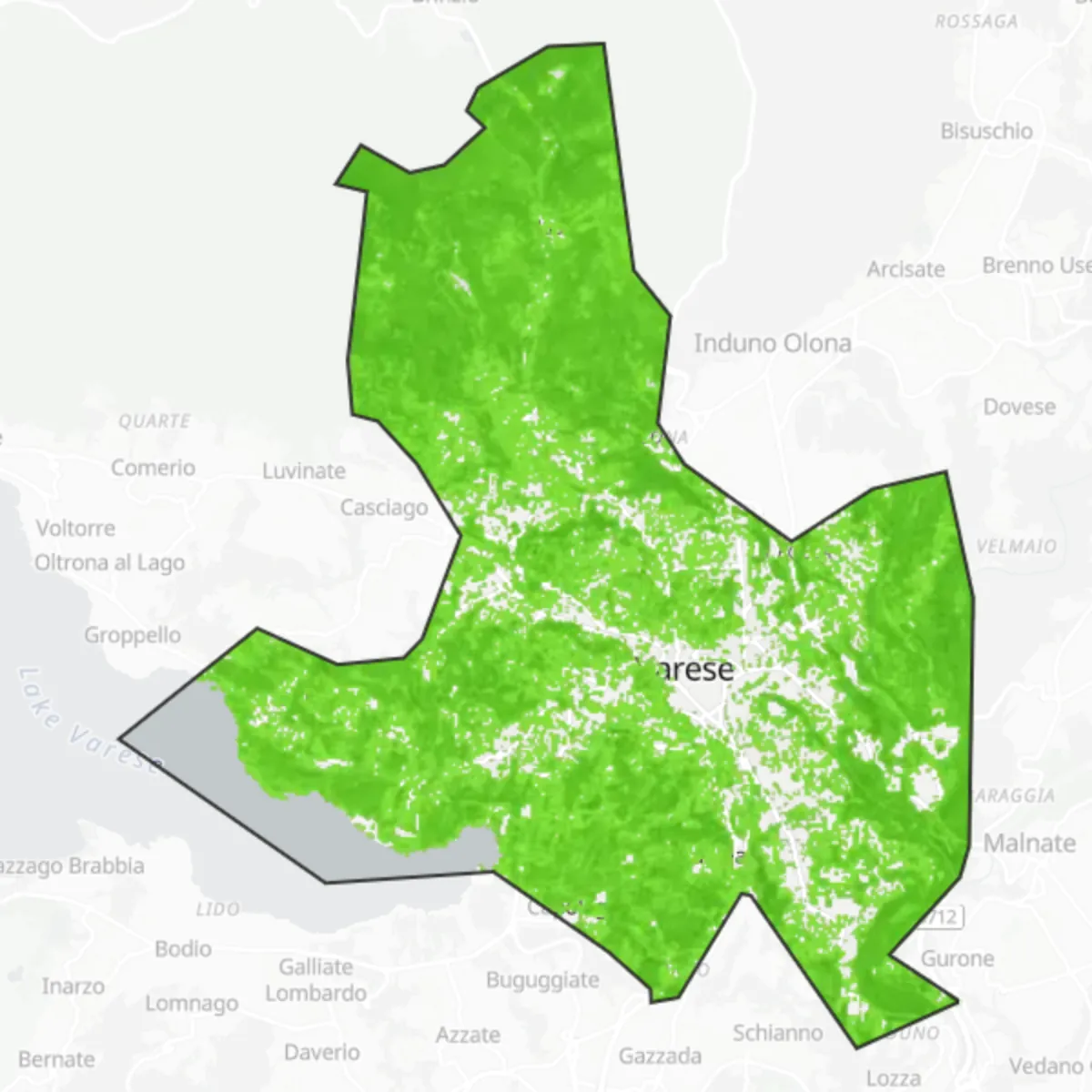 Copertura verde — Varese