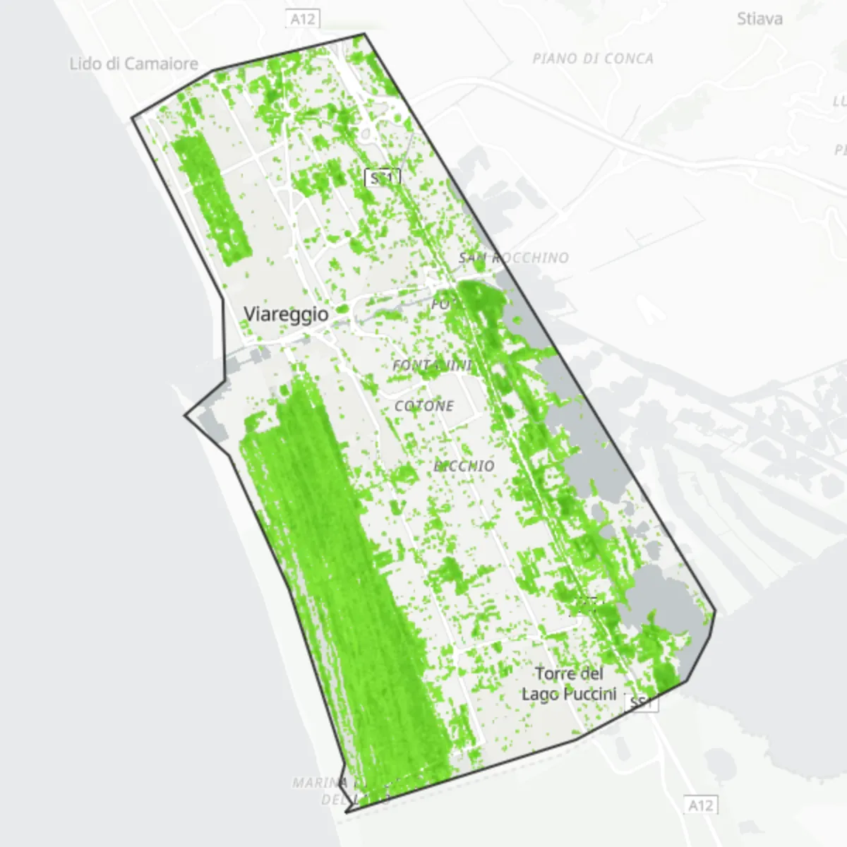 Zelený pokryv — Viareggio