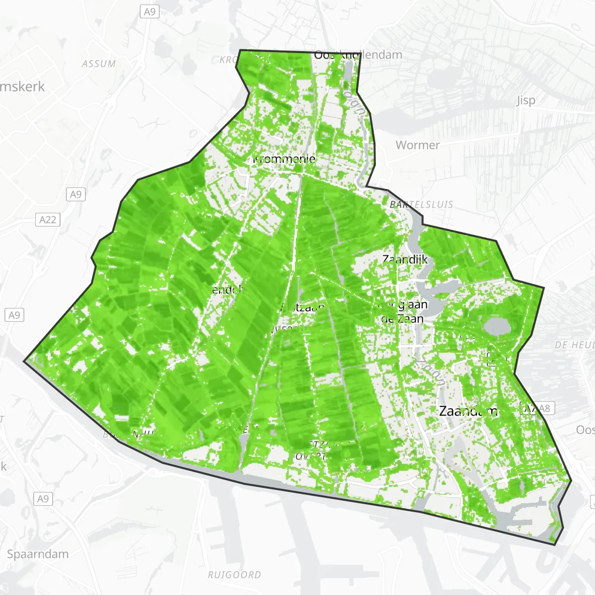 Coberta verda — Zaanstad