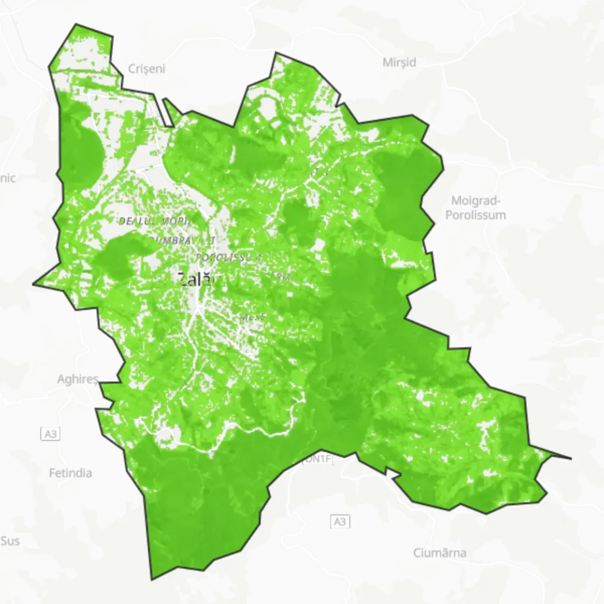 Zieleń — Zalău