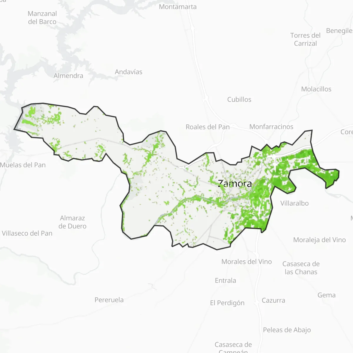 Zieleń — Zamora